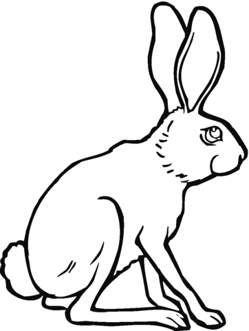 Sitting jackrabbit coloring page free printable coloring pages