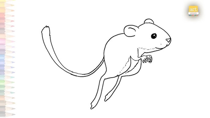 How to draw a kangaroo rat