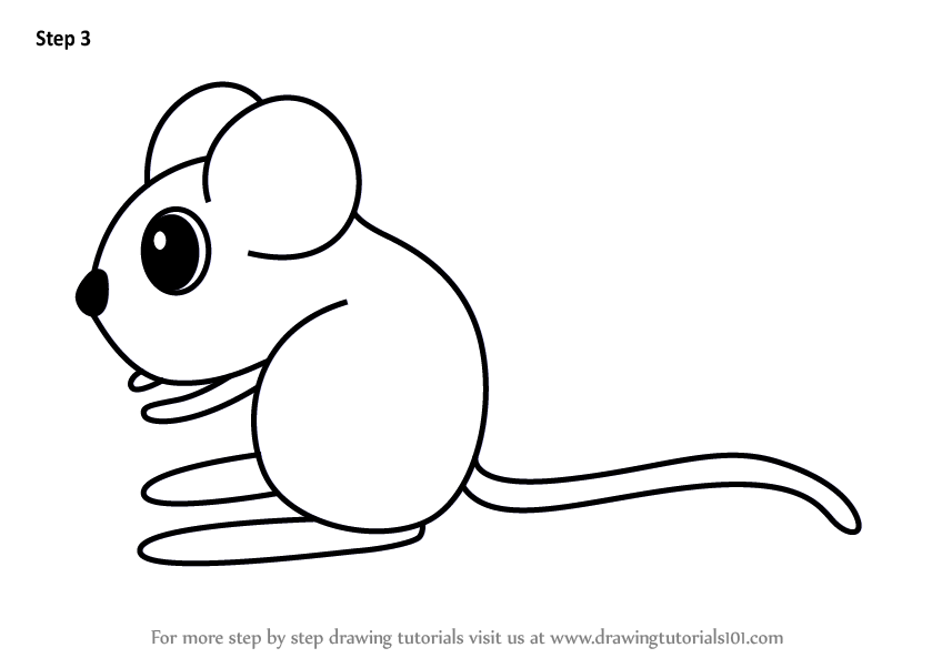 How to draw a kangaroo rat for kids animals for kids step by step