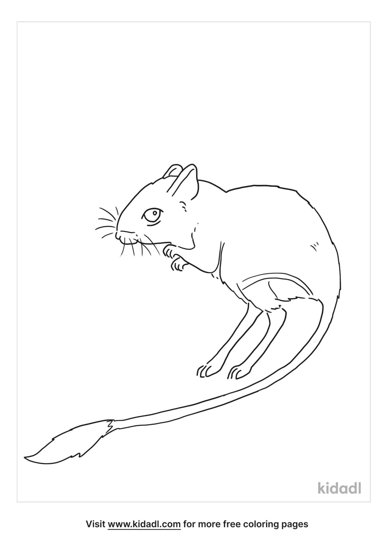 Free kangaroo rat coloring page coloring page printables