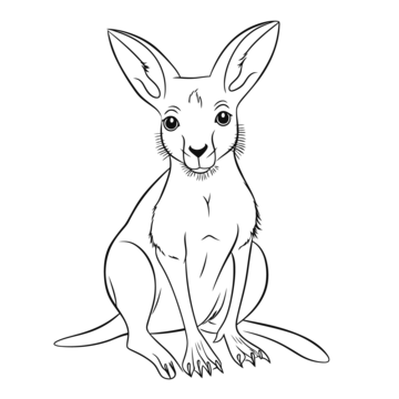 Kangaroo drawing png transparent images free download vector files