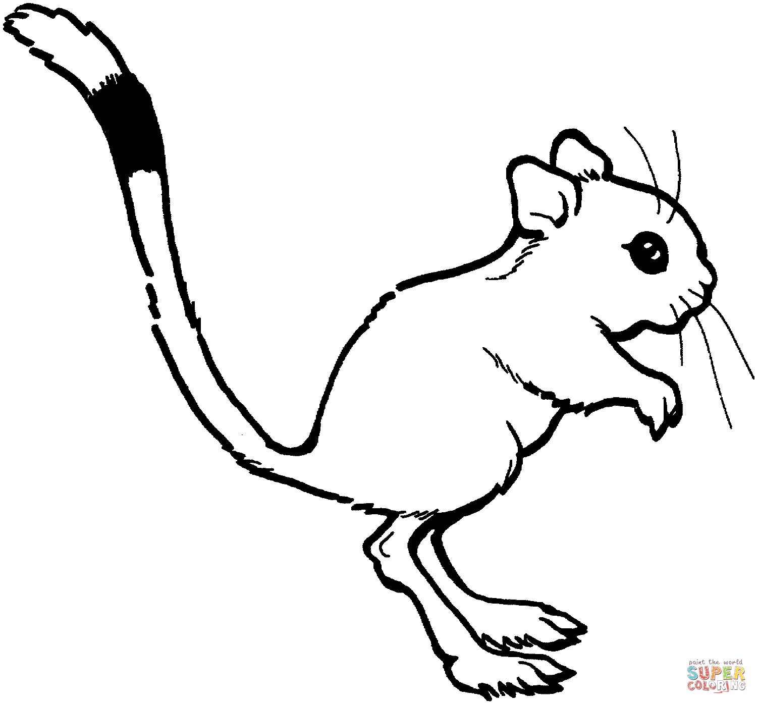 Cute kangaroo rat coloring page free printable coloring pages