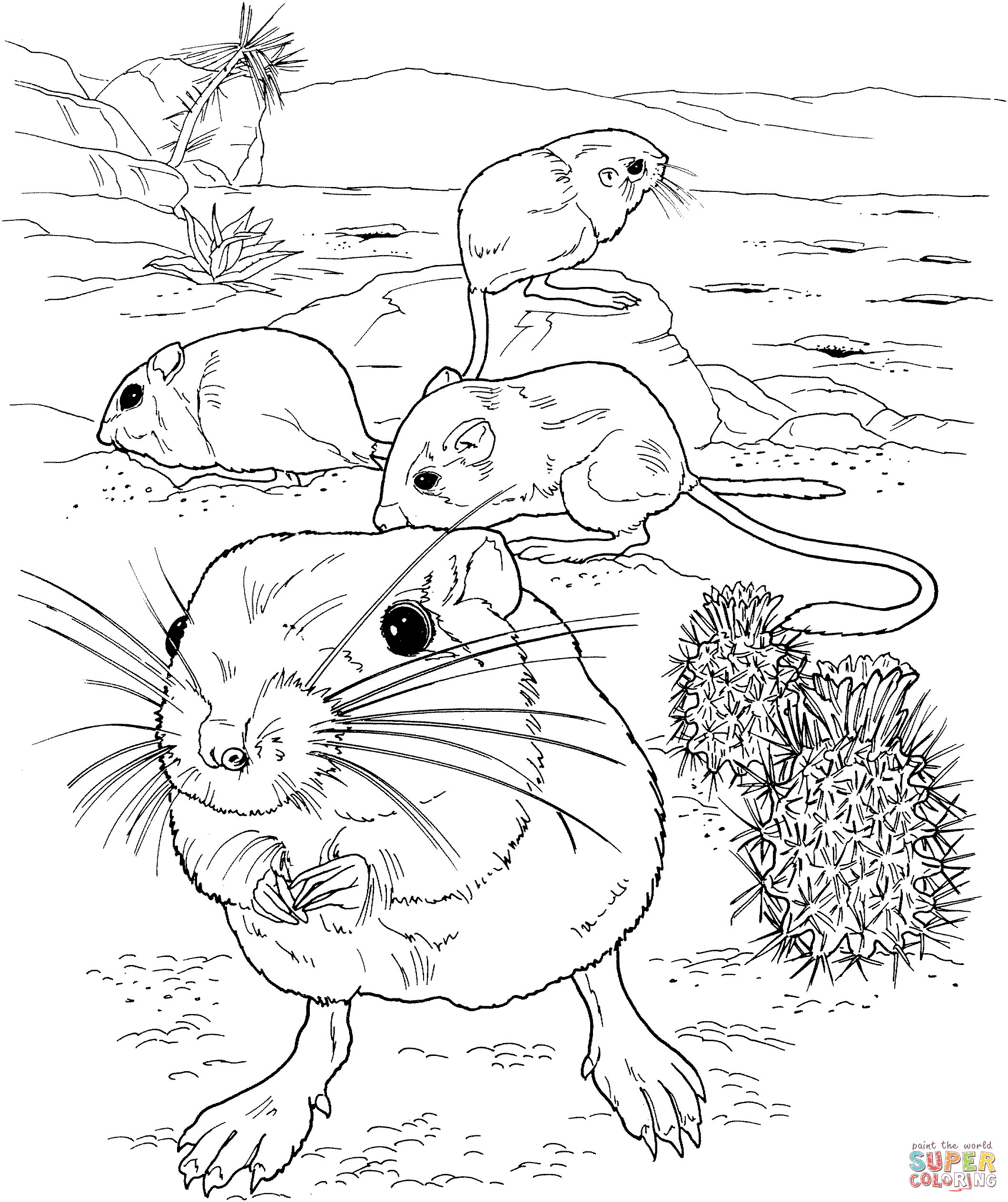 Giant kangaroo rats coloring page free printable coloring pages