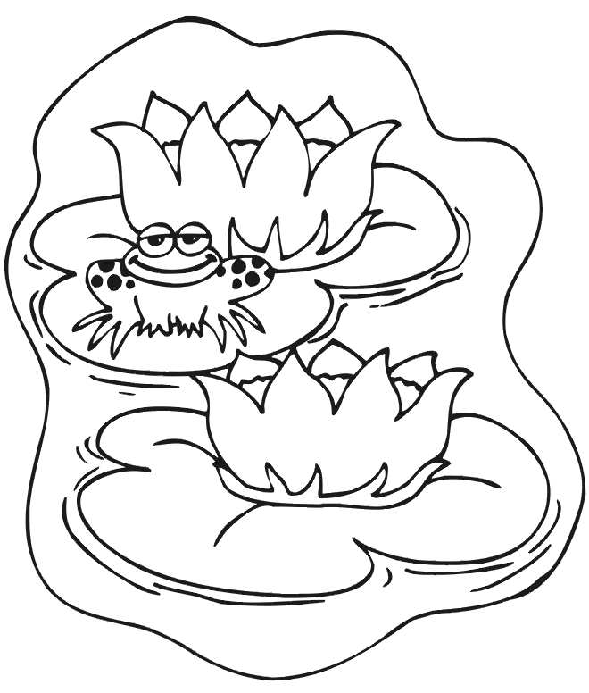 Frog coloring page frog on a lily pad