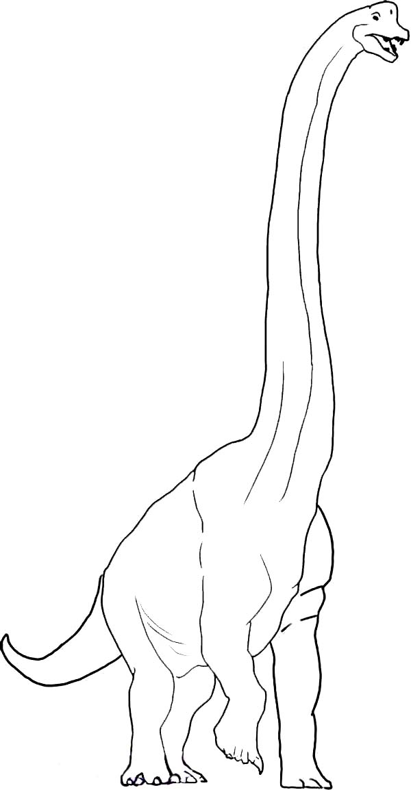 Long neck dinosaurus brachiosaurus coloring page dinossauros arte tema de dinossauro dinossauro desenho