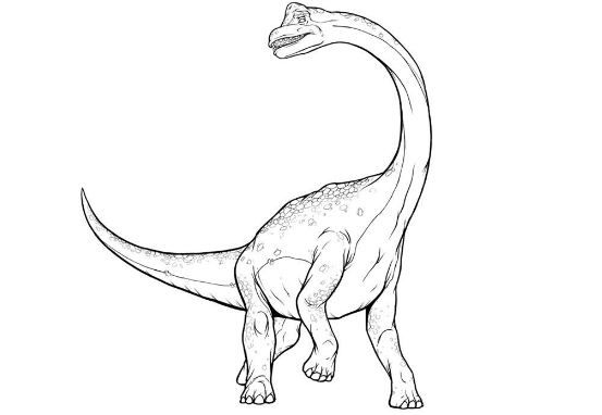 Brachiosaurus coloring page printable brachiosaurus coloring pages cute coloring pages