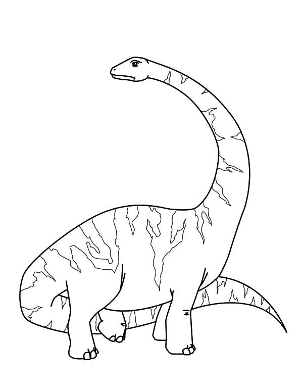 Diplodocus long neck coloring pages