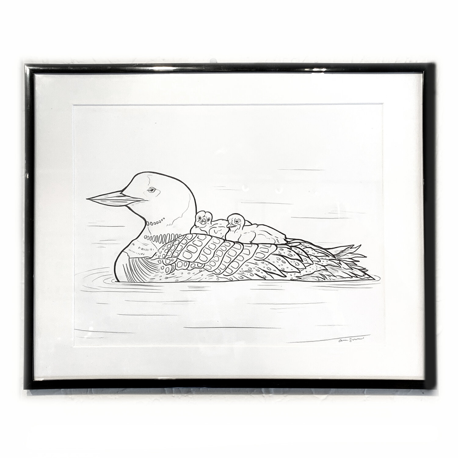 Matted loon drawing â amanda surveski wildlife art