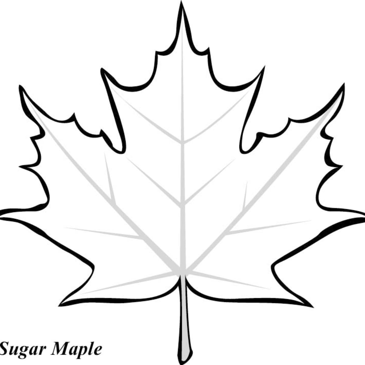 Leaf printable coloring pages