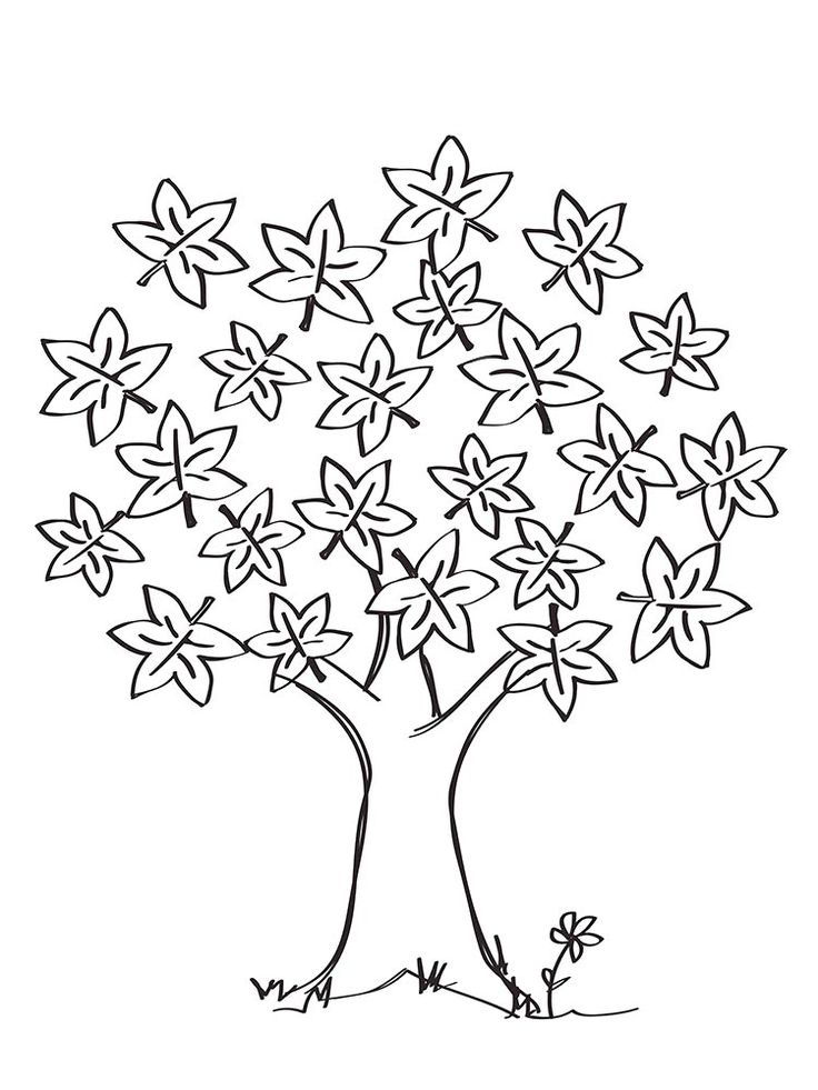 Maple tree coloring pages for kids free printable maple tree coloring pages in tree coloring page autumn trees coloring pages