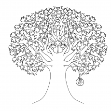 Top tree coloring pages for your little ones