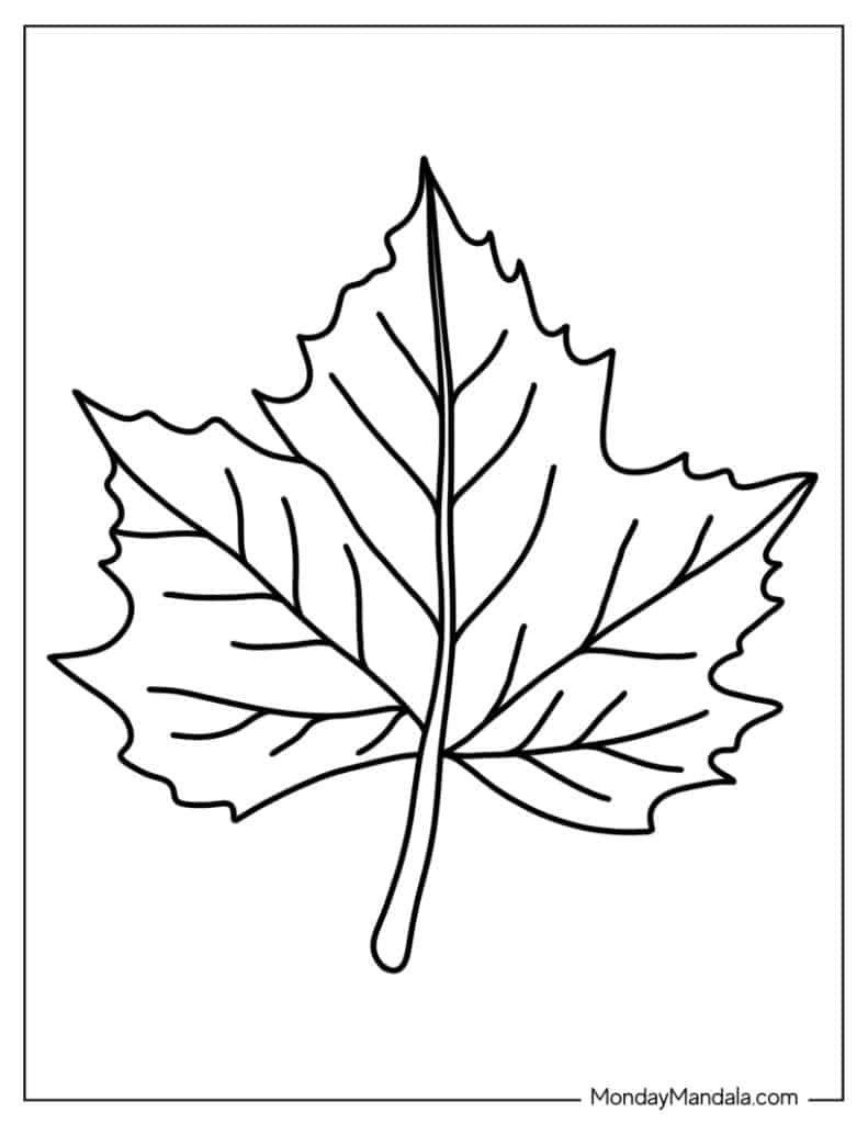 Leaf coloring pages free pdf printables