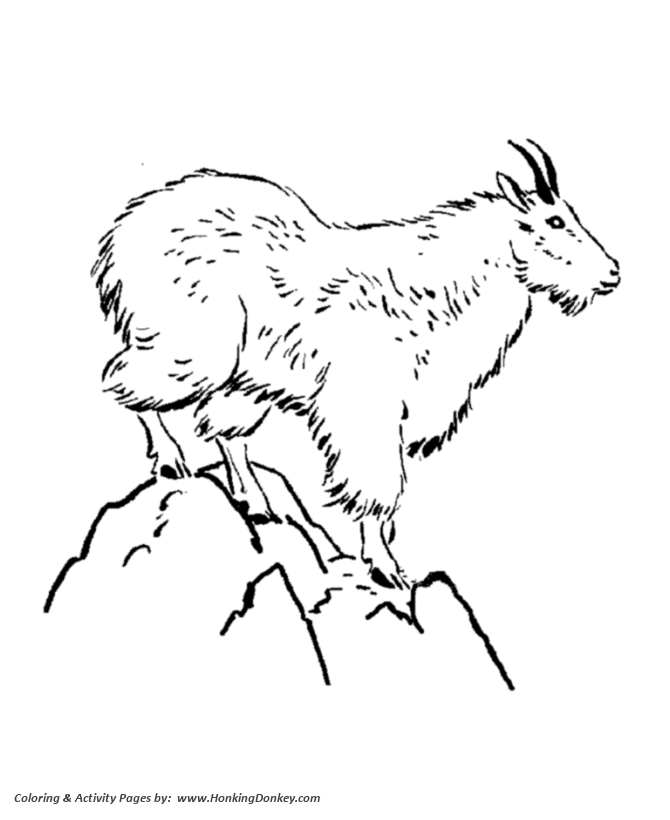 Wild animal coloring pages mountain goat coloring page and kids activity sheet