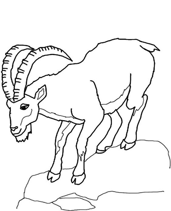 Free easy to print goat coloring pages