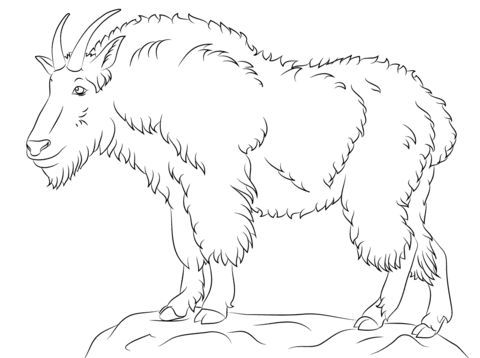 Mountain goat coloring page free printable coloring pages