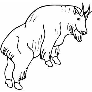 Mountain goat coloring page