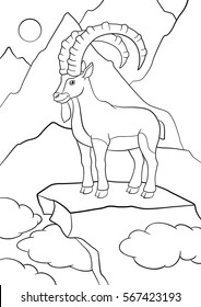 Hundred coloring page mountain goat royalty