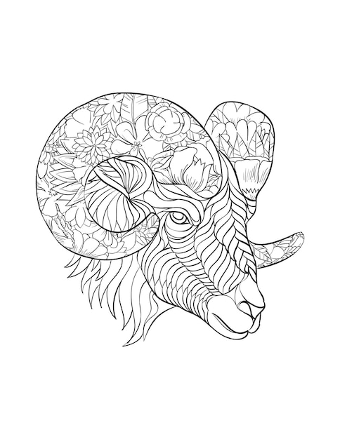 Premium vector beautiful mountain goat head coloring books pages and hand drawings for adults and children