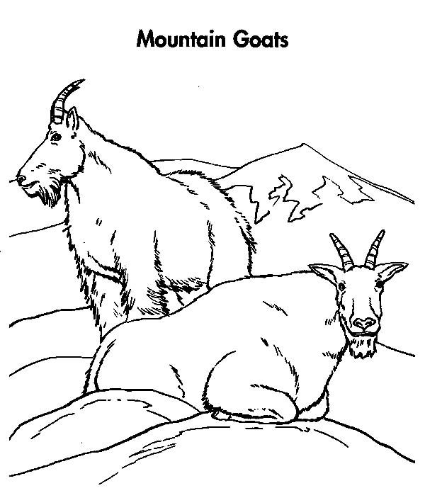 A couple of mountain goat coloring pages color luna animal coloring pages mountain goat coloring pages