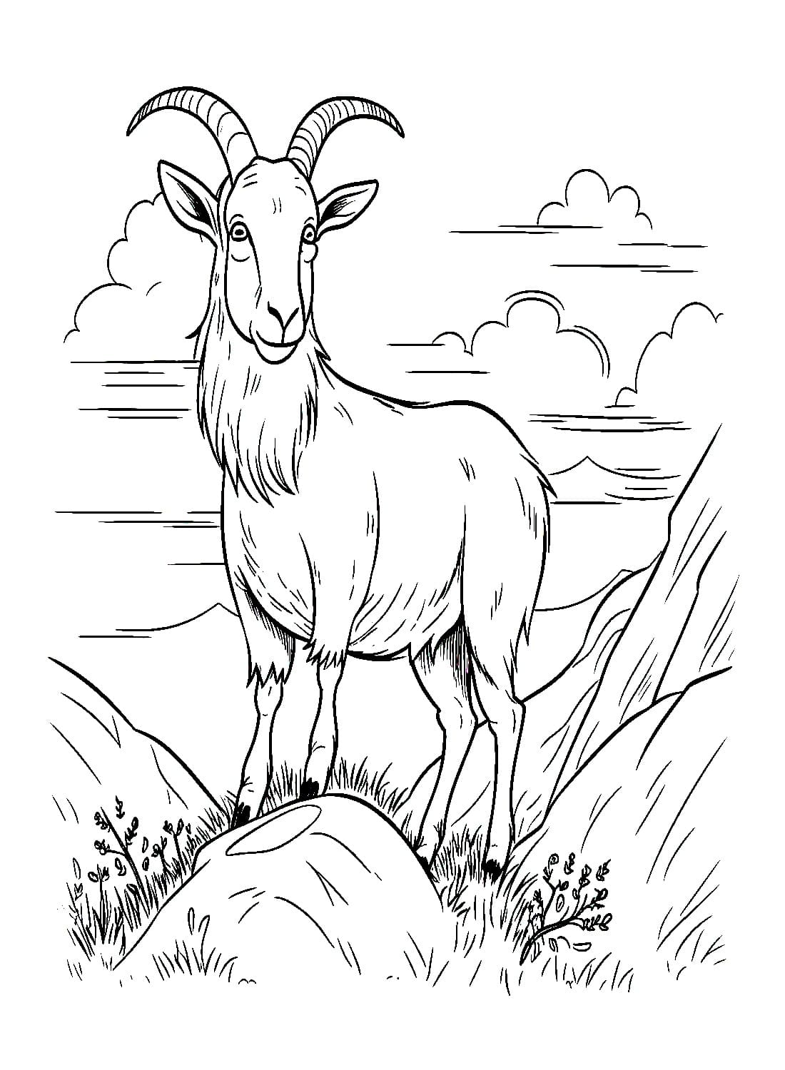 Mountain goat coloring page