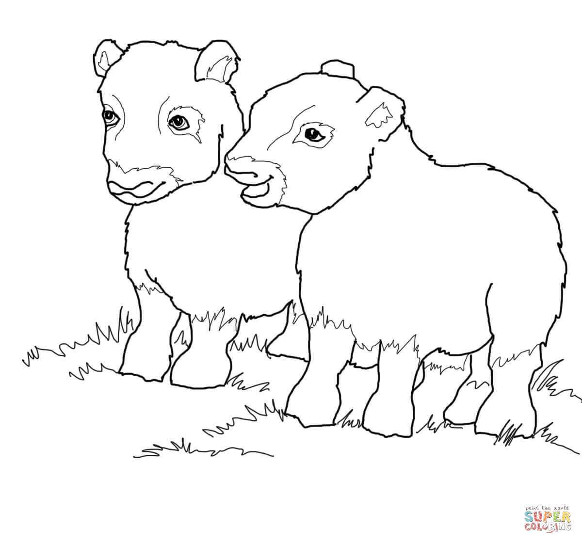 Musk ox babies coloring page free printable coloring pages