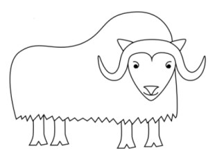 Learn how to draw a musk ox