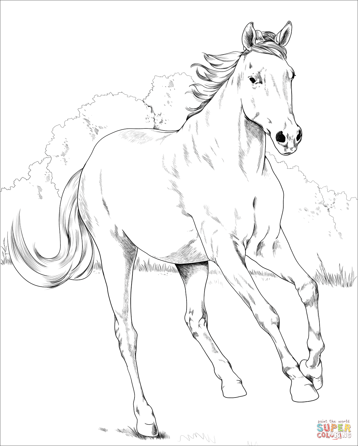Mustang mare coloring page free printable coloring pages