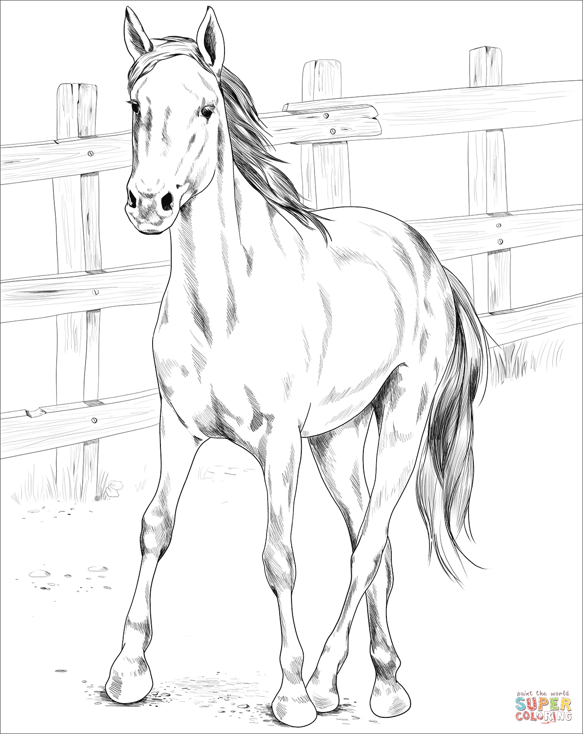 Kiger mustang coloring page free printable coloring pages