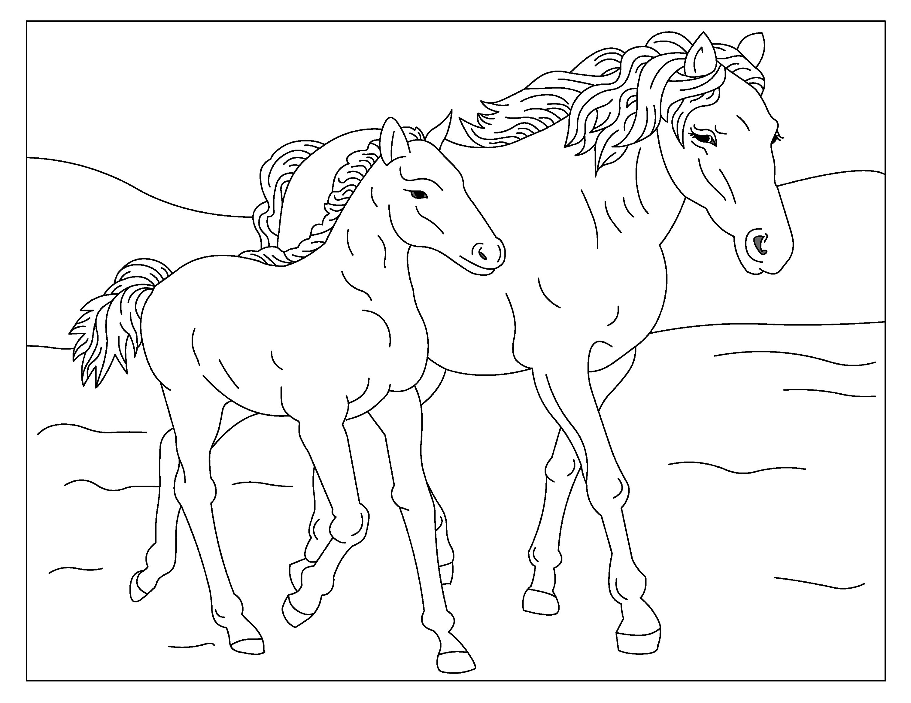 Wild horses printable coloring pages horse coloring book instant download pdf