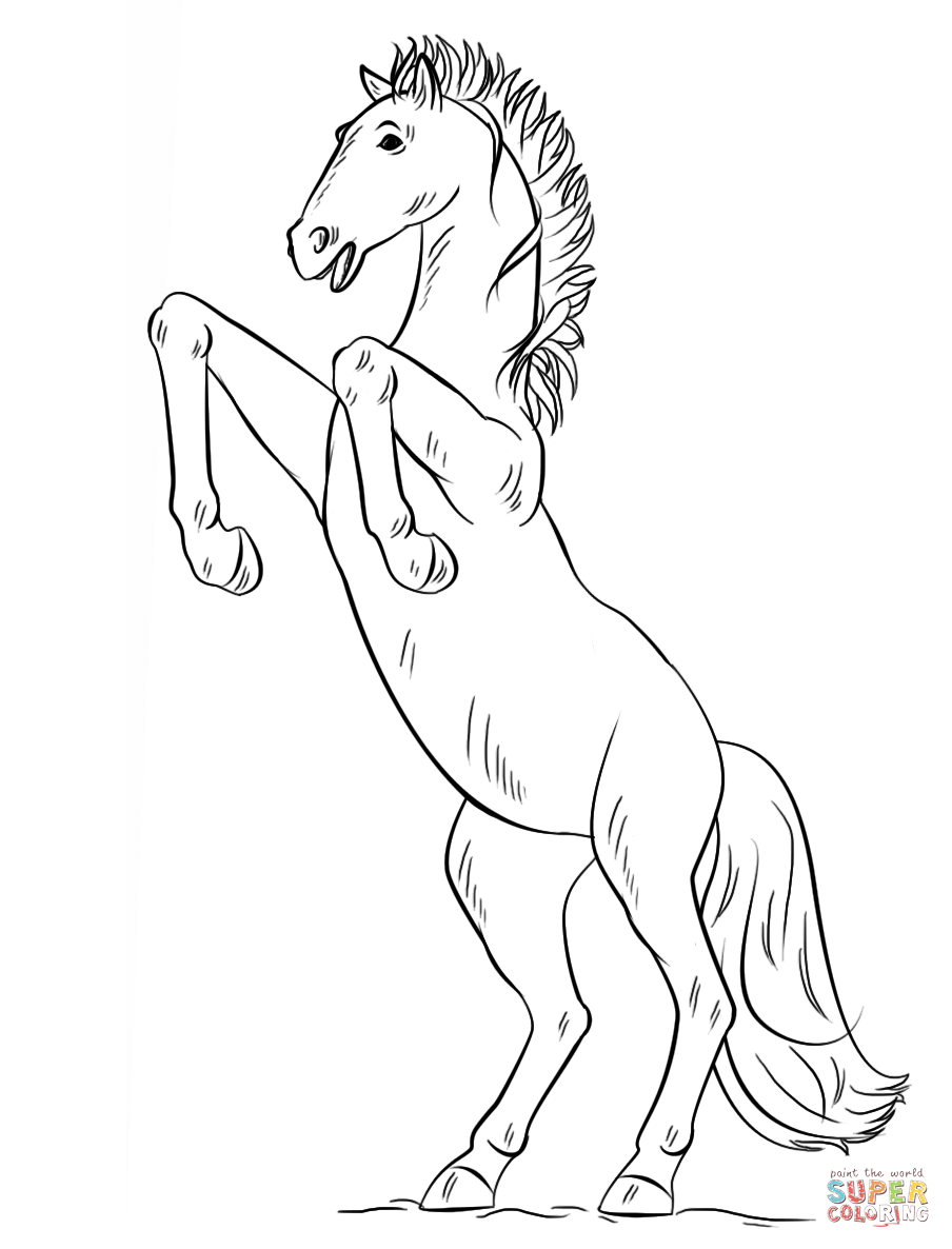 Bucking mustang coloring page free printable coloring pages
