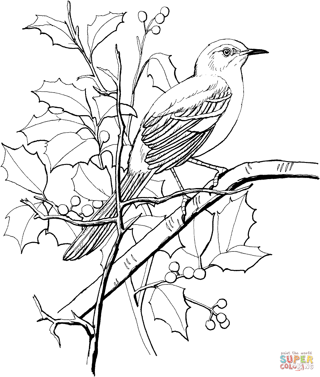 Northern mockingbird perched on a tree coloring page free printable coloring pages