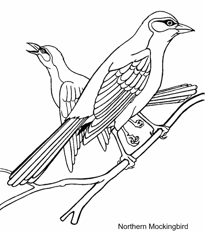 Mockingbird coloring page