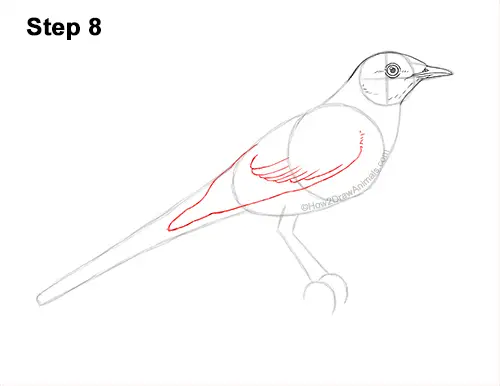 How to draw a mockingbird video step