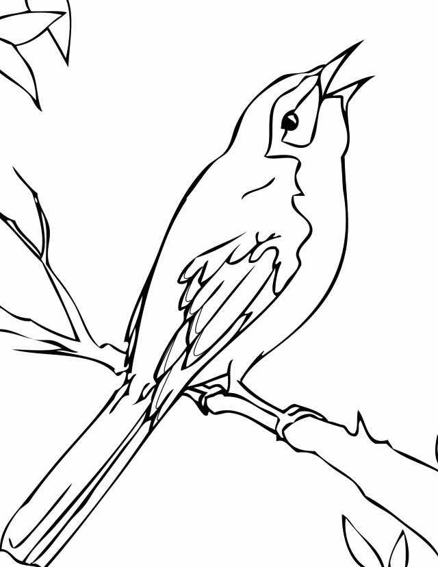 Mockingbird coloring pages