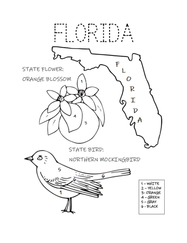 Florida state bird and flower coloring page teaching resources