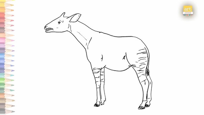 How to draw a cartoon okapi step by step