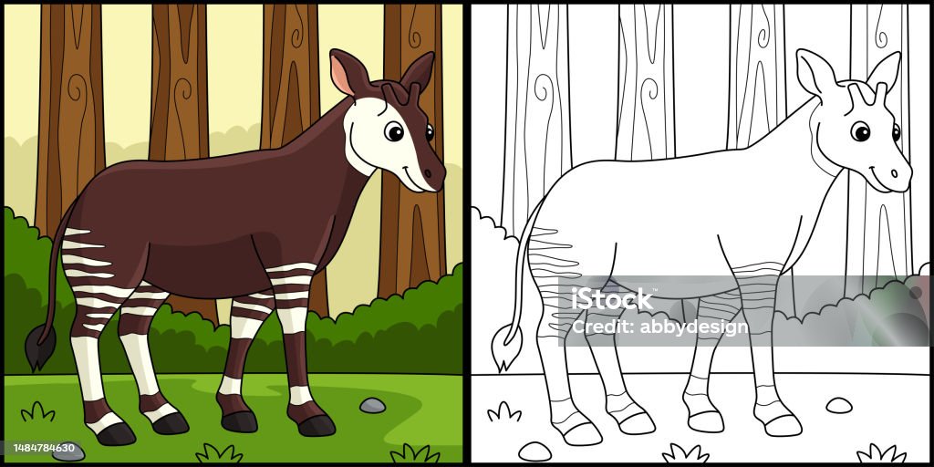 Okapi animal coloring page colored illustration stock illustration