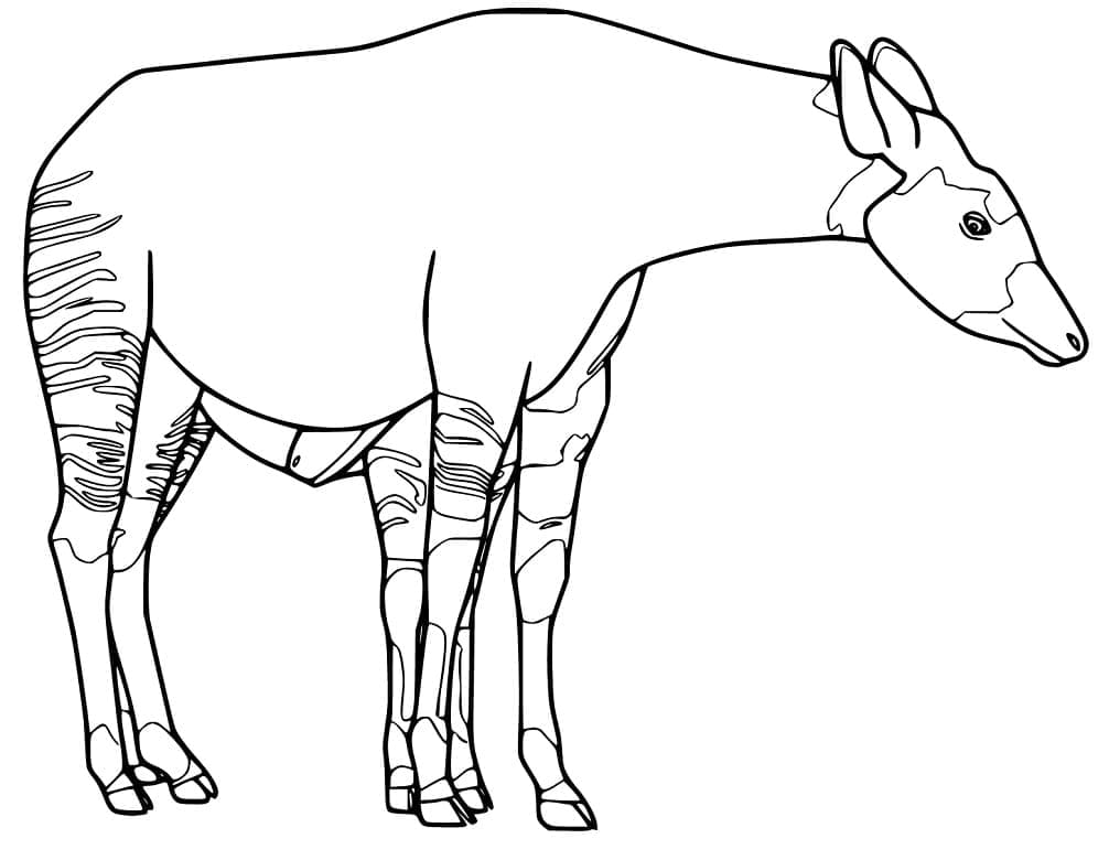 Okapi for kids coloring page