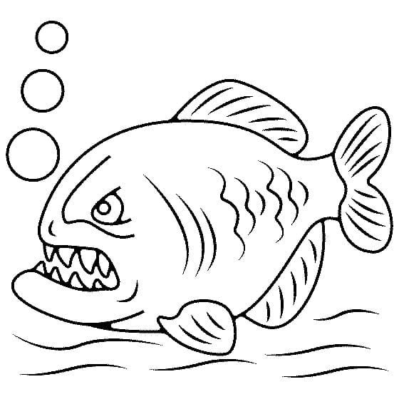 Piranha to color coloring page coloring pages free printable coloring free printable coloring pages