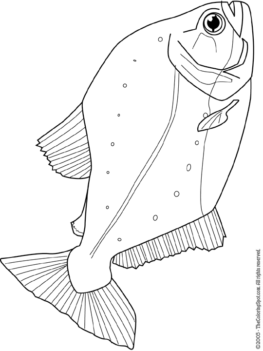 Piranha coloring page audio stories for kids free coloring pages colouring printables