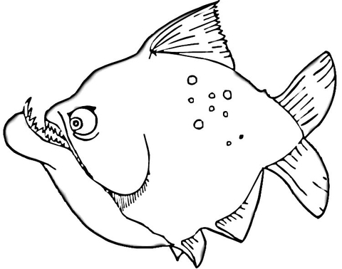 Piranha coloring page free printable coloring pages