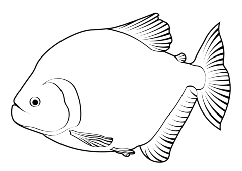 Piranhas coloring pages free coloring pages