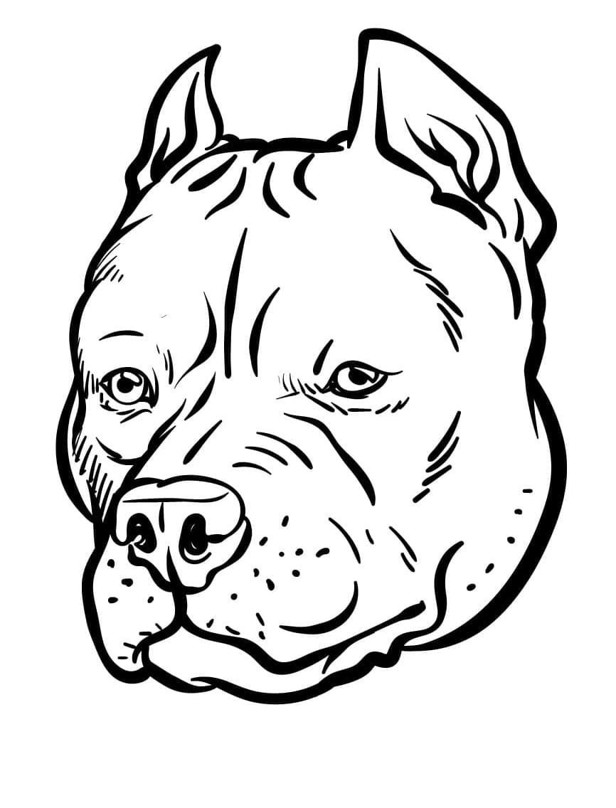 Pitbull dog head coloring page