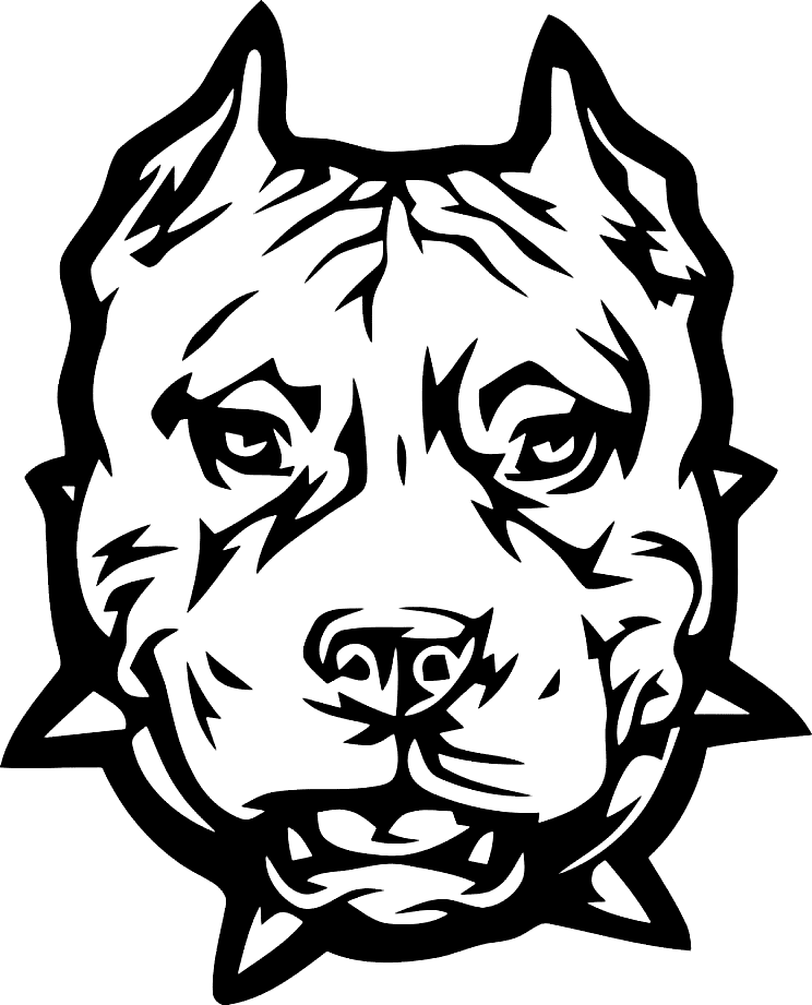 Pitbull coloring pages printable for free download