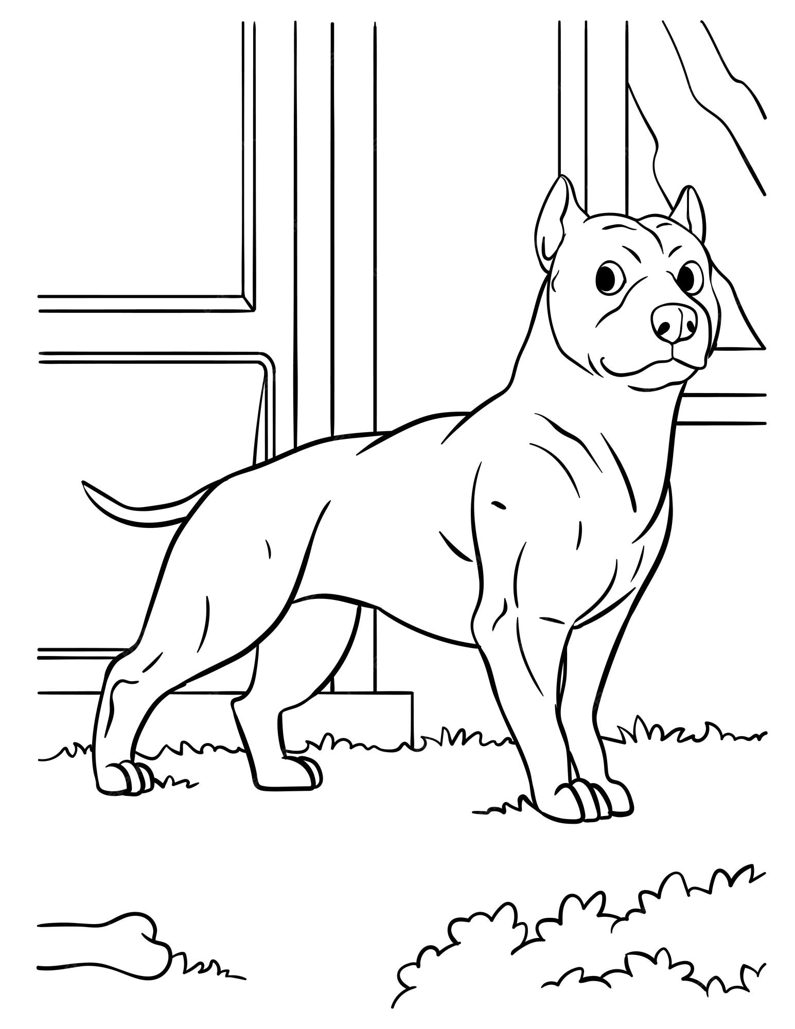 Premium vector pit bull coloring page for kids