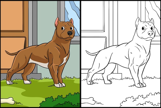 Premium vector pit bull coloring page colored illustration