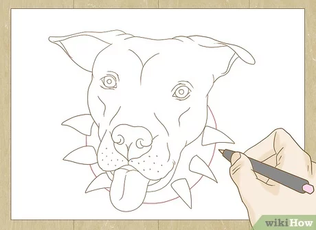 How to draw a pitbull with pictures