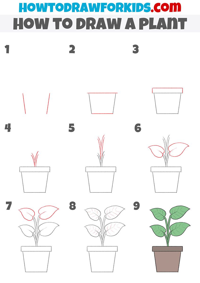 How to draw a plant