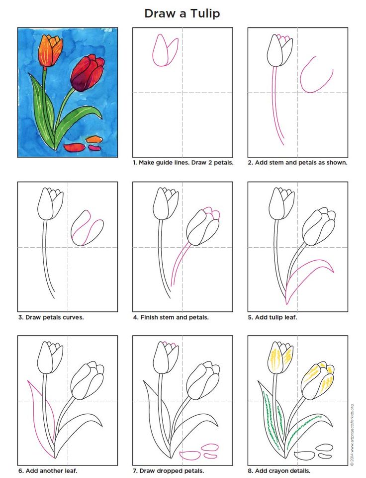 Easy how to draw a tulip tutorial video and tulip coloring page flower drawing tulips art art drawings for kids