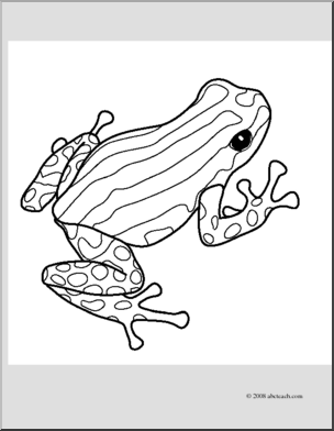 Clip art frogs pasco poison dart frog coloring page i